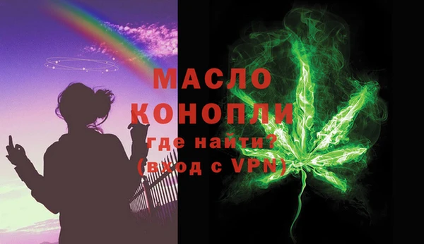 гидра Богородицк