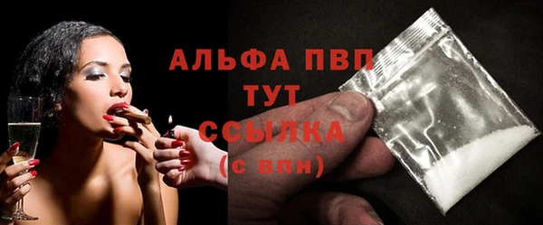 гидра Богданович