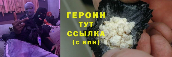 гидра Богородицк
