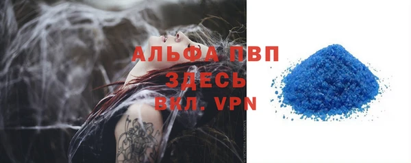 гидра Богданович