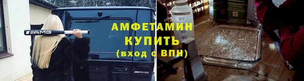 гидра Богородицк