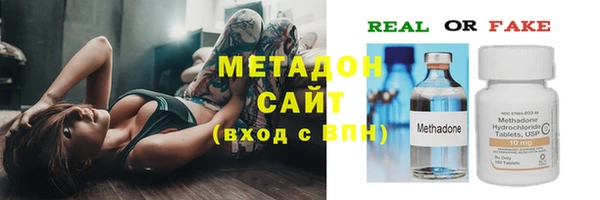 гидра Богданович