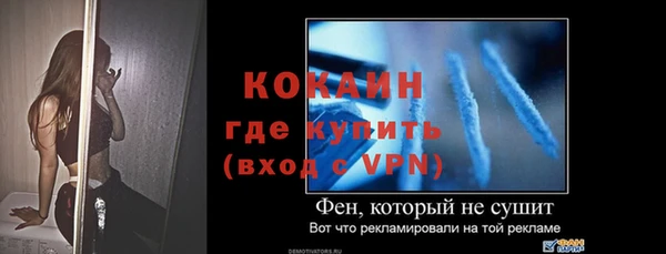 гидра Богородицк