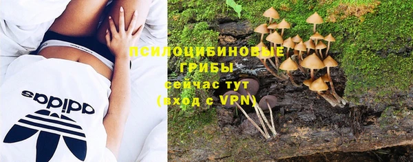 MESCALINE Бородино