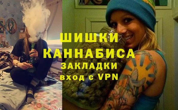 гидра Богданович
