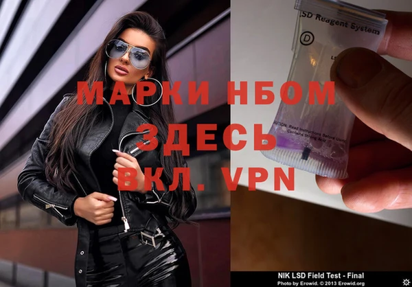гидра Богданович