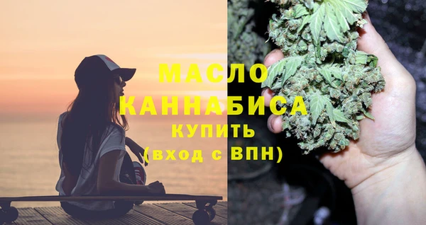 гидра Богородицк