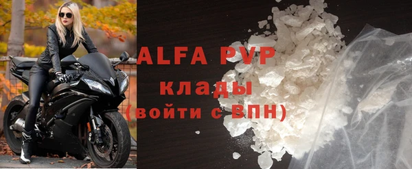 гидра Богородицк