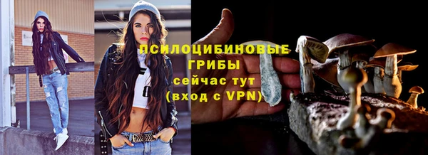 гидра Богородицк