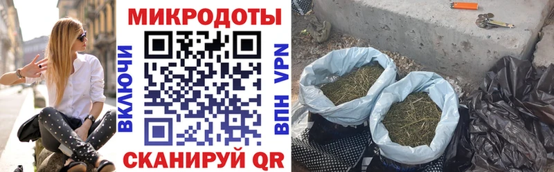 Псилоцибиновые грибы мицелий  даркнет сайт  Медынь 