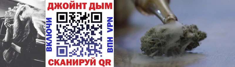 купить  цена  Медынь  Канабис семена 